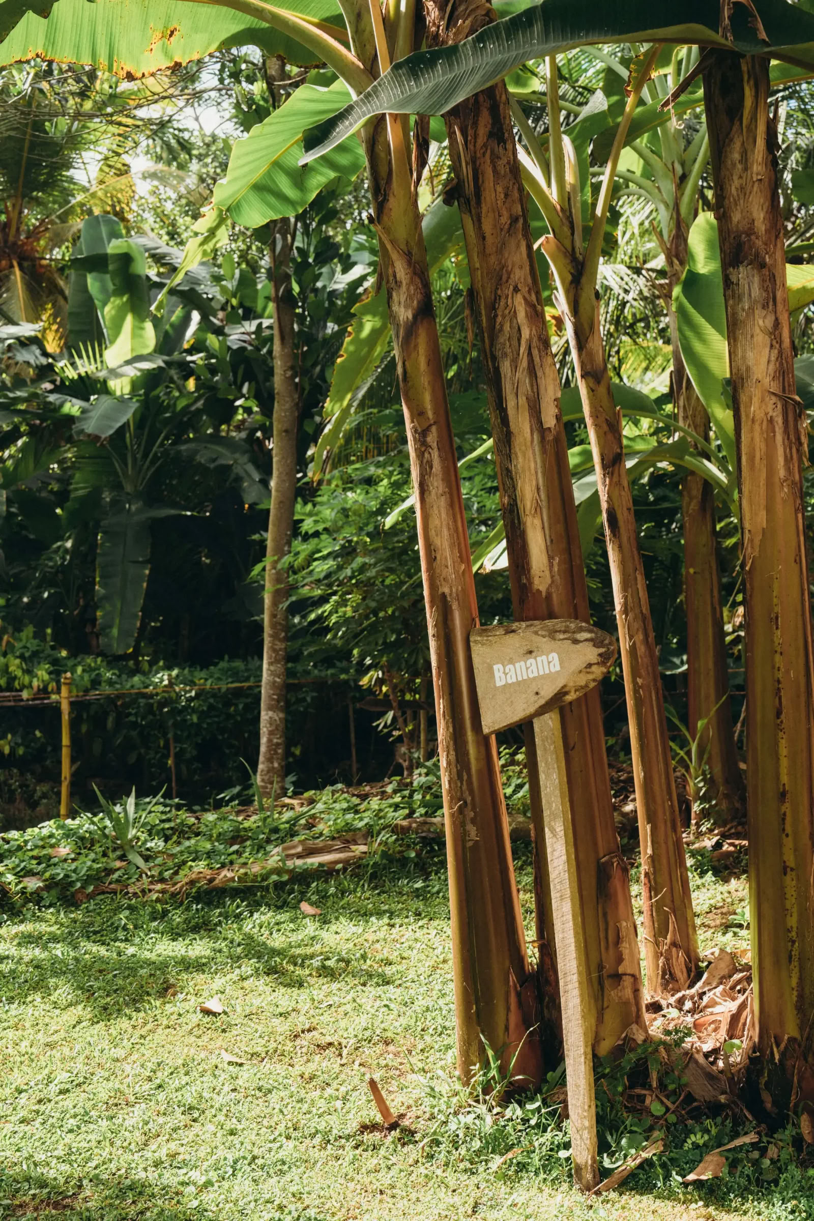 100-Hour Vinyasa + Yin YTT