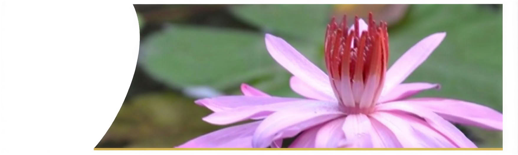 The Dynamics of Deep Transformation