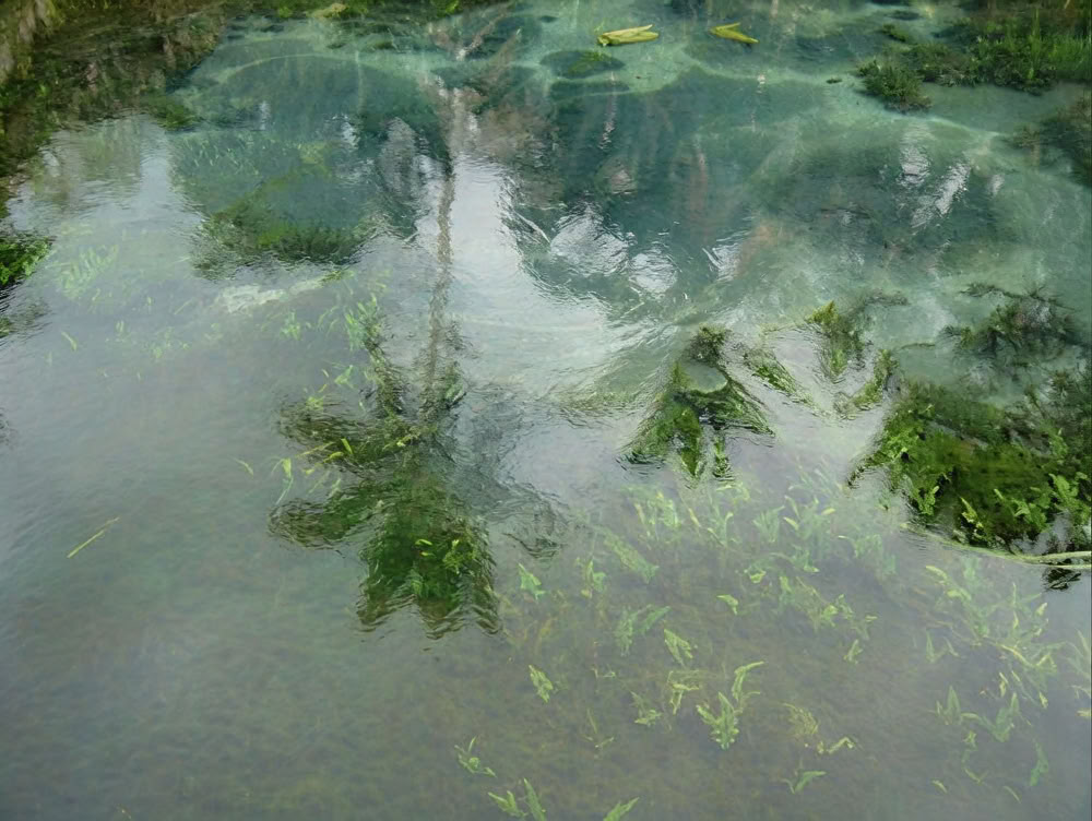 The Dynamics of Deep Transformation