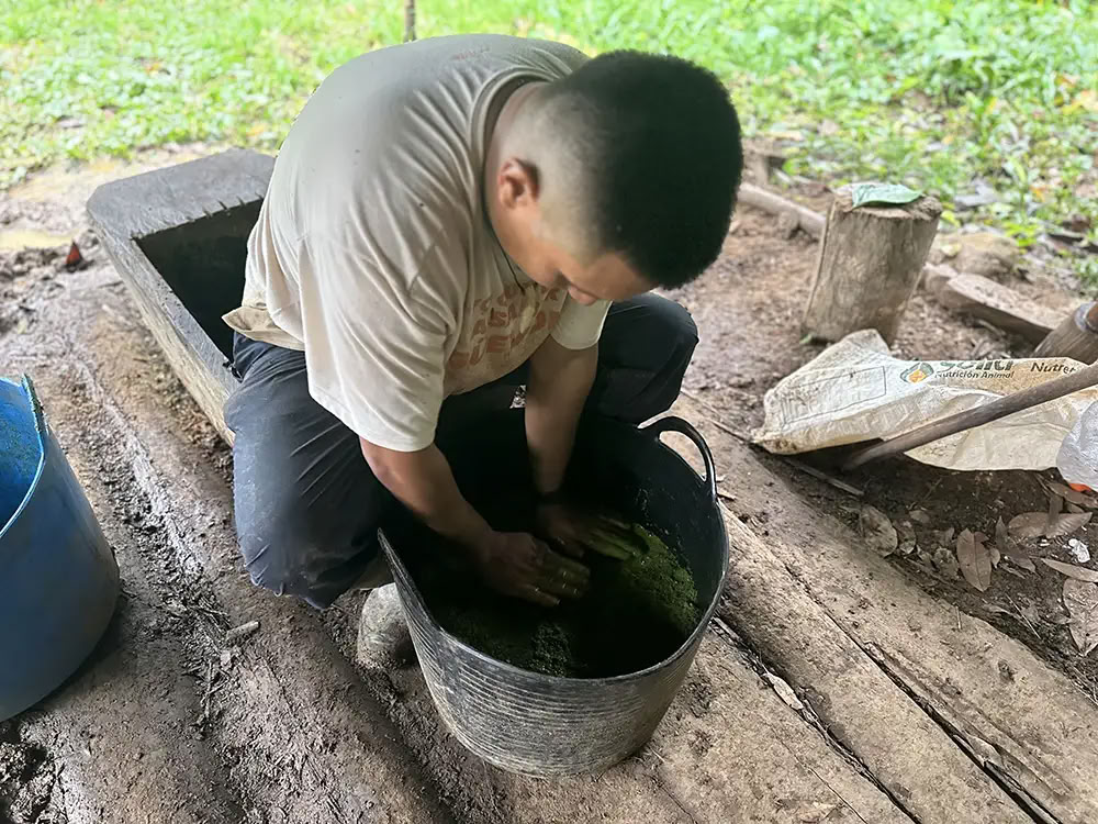 Medicine Maker Ayahuasca Retreat With Taita Miguel