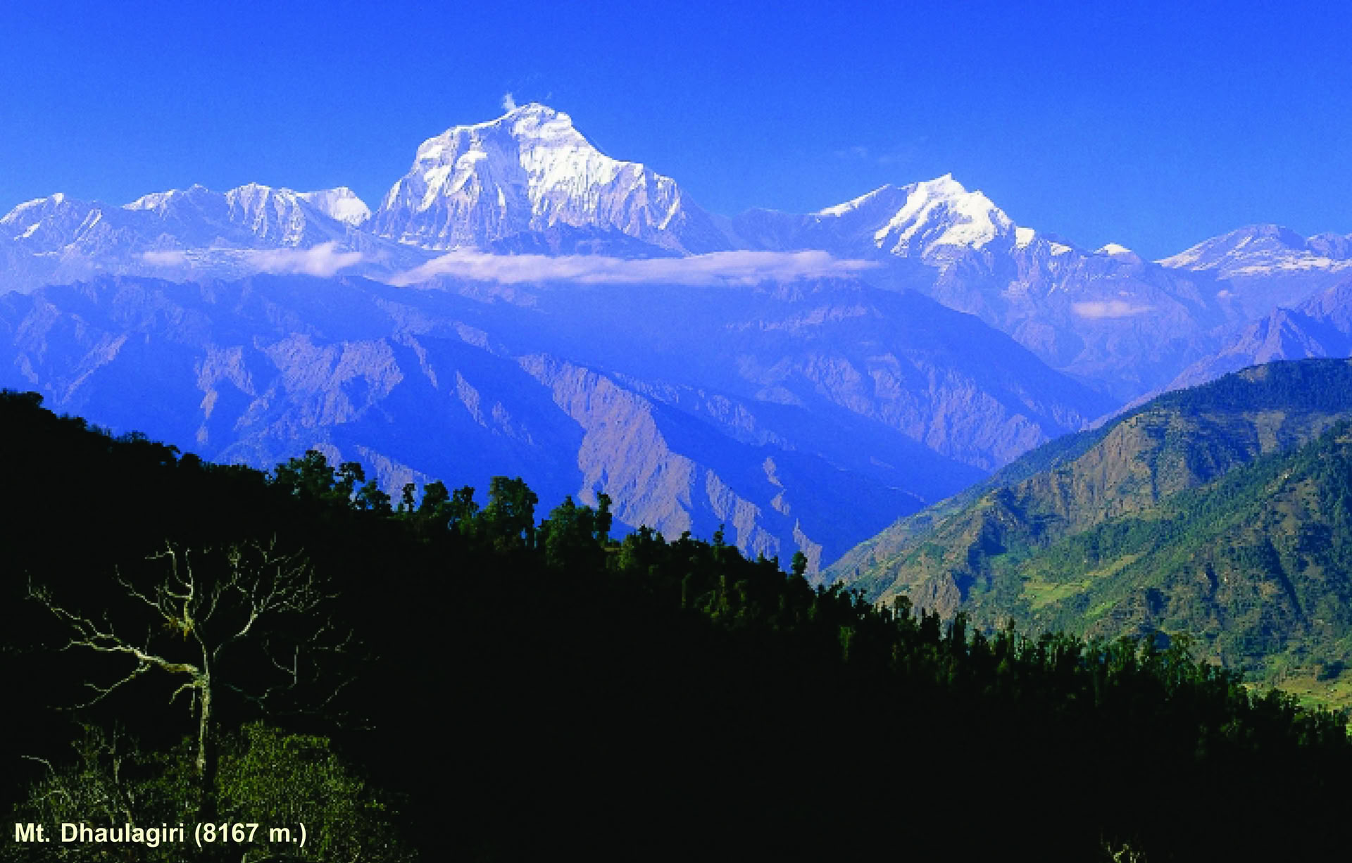 Machhapuchhre Trek and Exploring Himalaya 11 Days