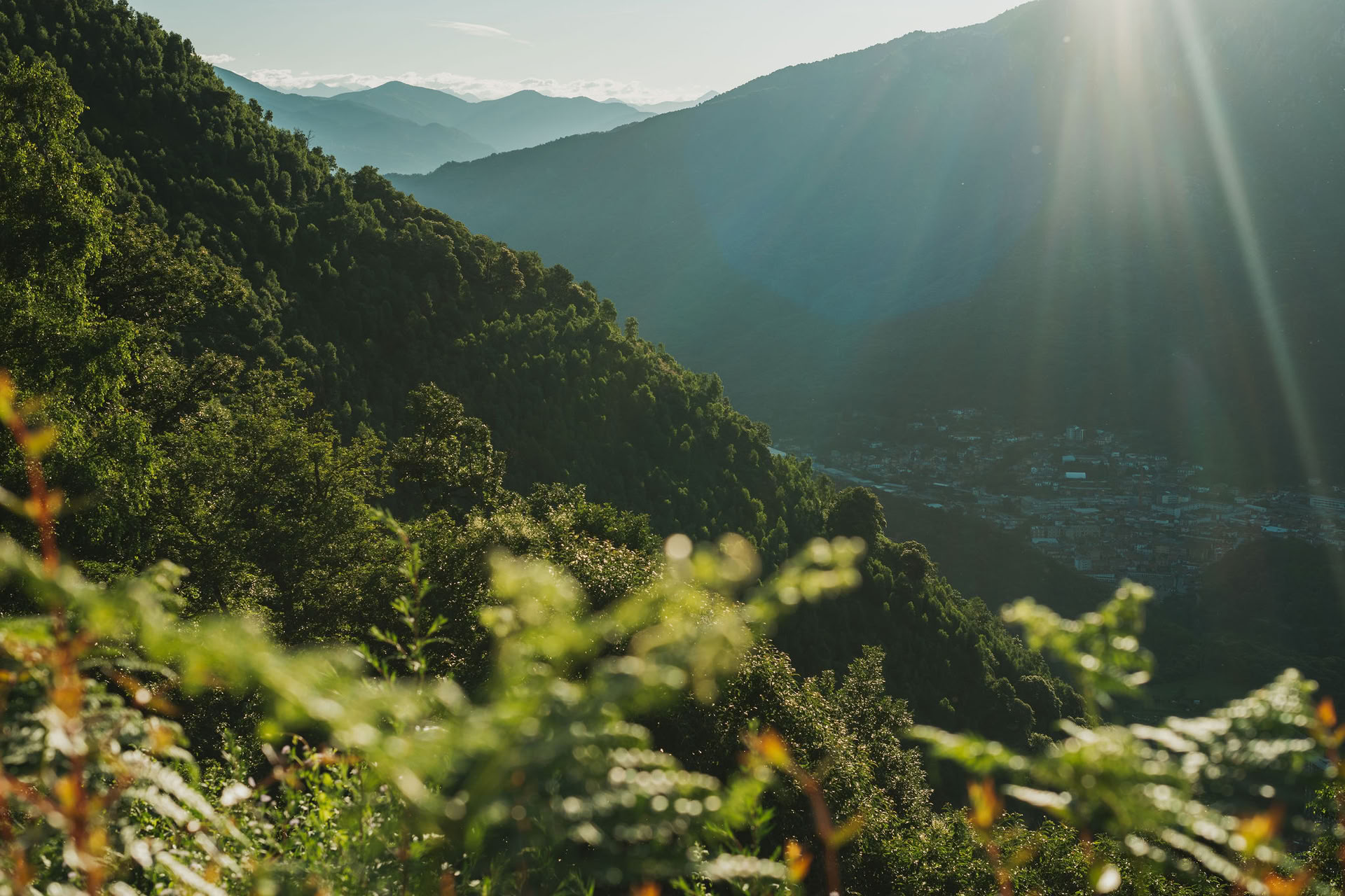 7 Day Silence – Detox – Movement Retreat