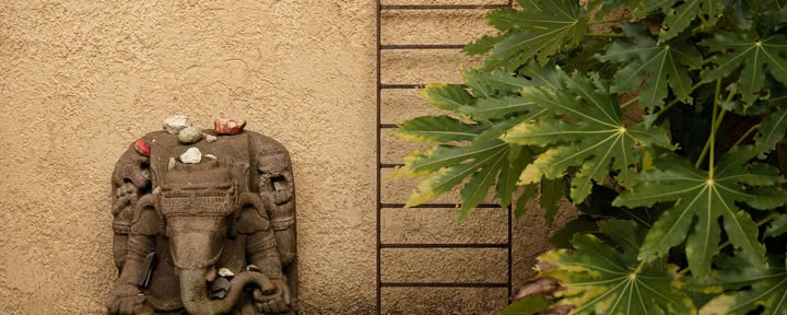 7 Day Silence – Detox – Movement Retreat