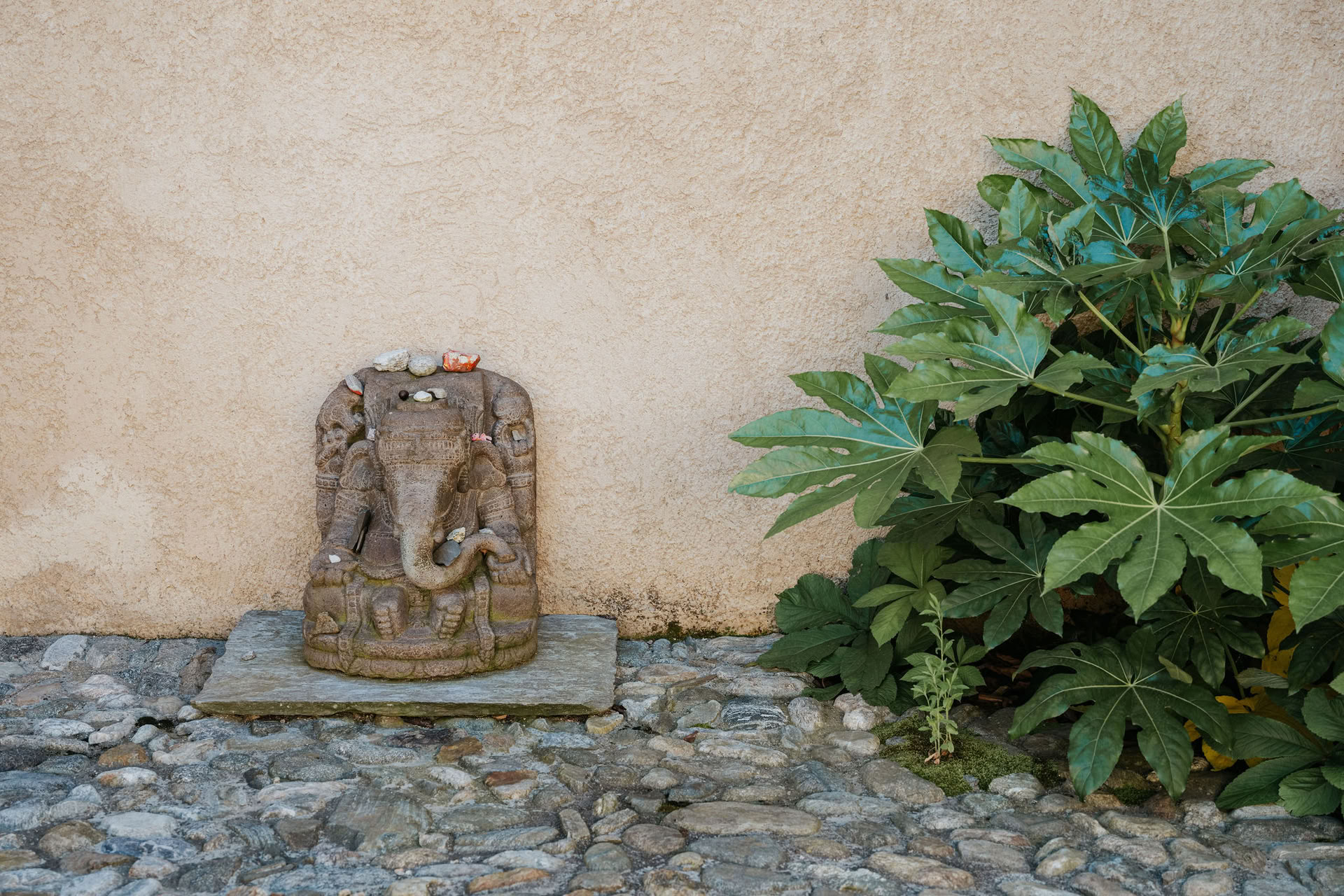 Yin Yoga Inner Quietness Retreat