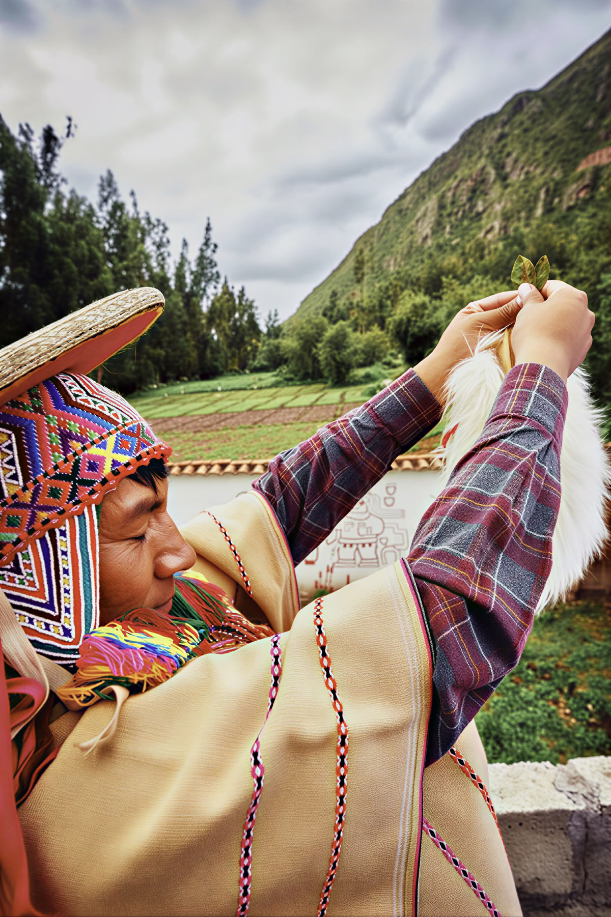 Plant Medicine Ceremonies in Peru