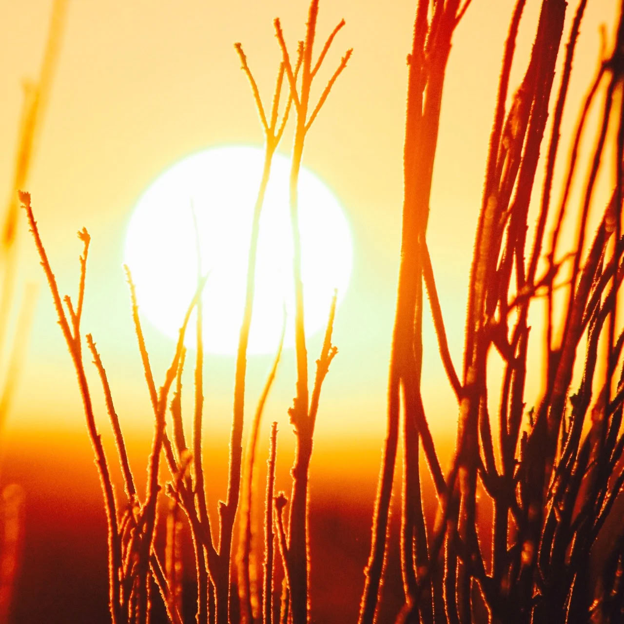 Summer Solstice Celebration - Wrexham