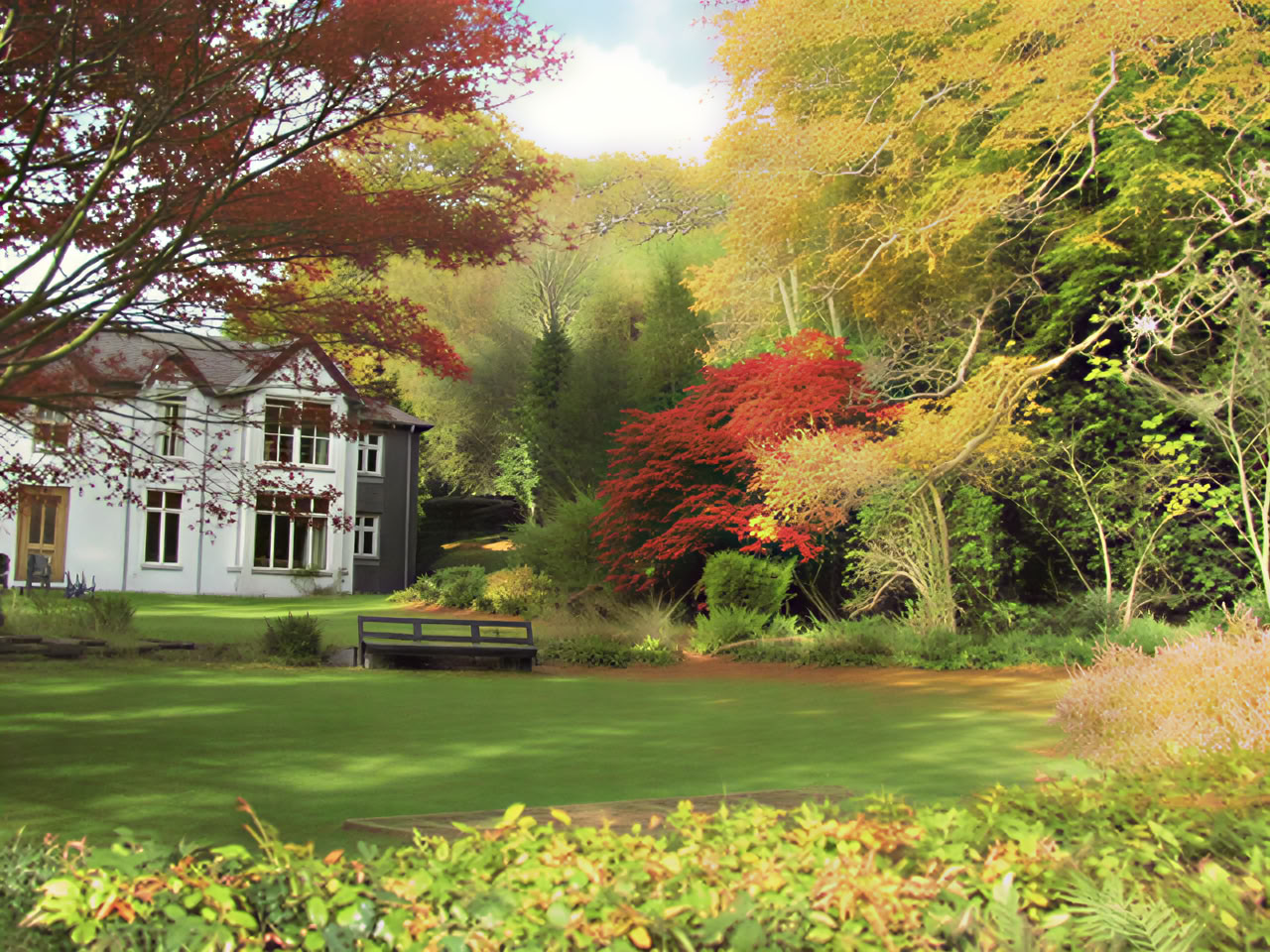 Connection - Kundalini Yoga and Forest Bathing Retreat