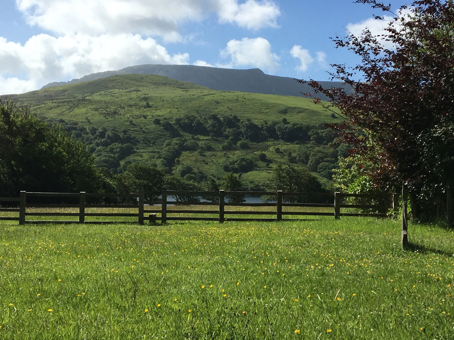 Connection - Kundalini Yoga and Forest Bathing Retreat