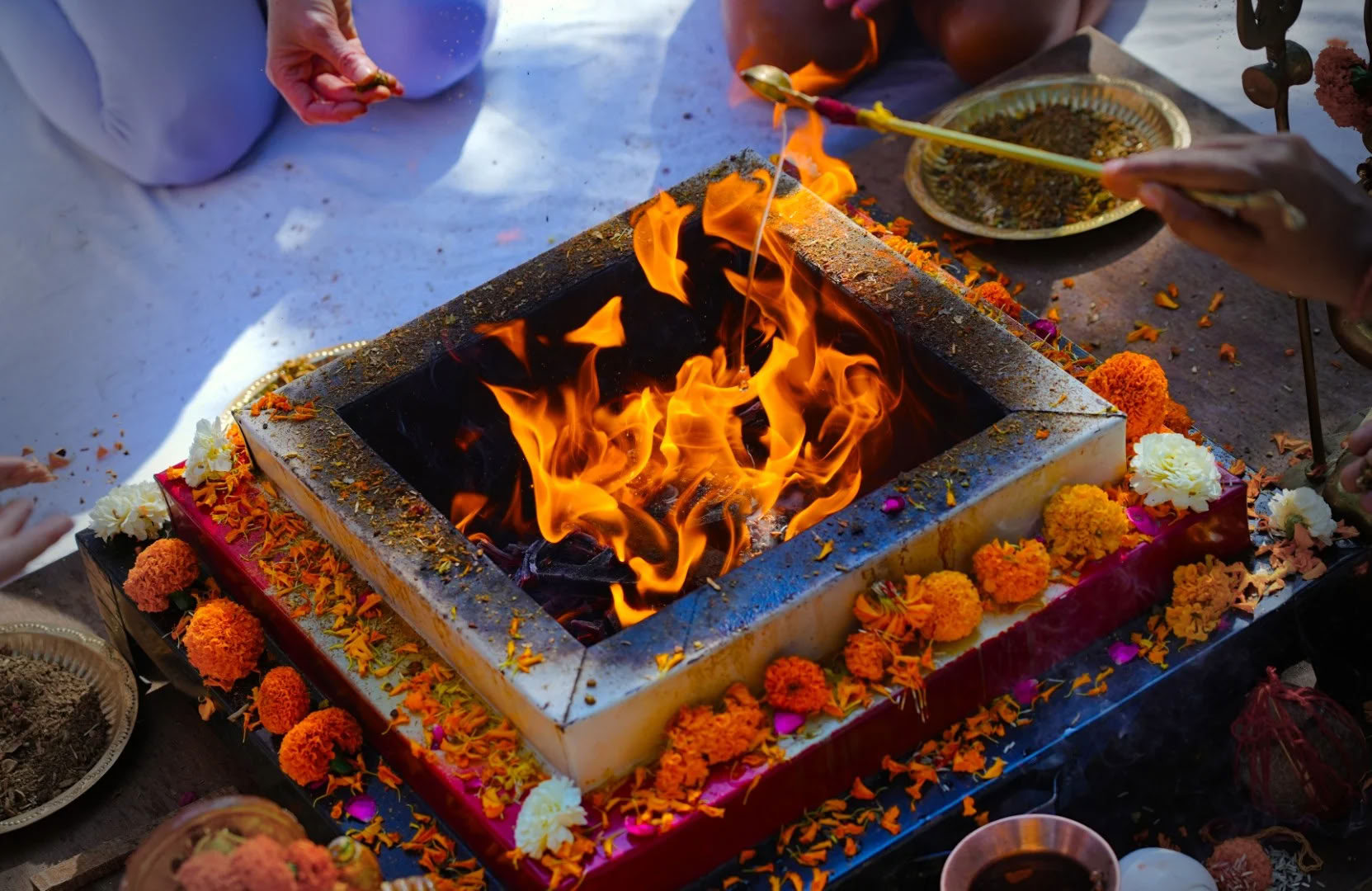 14-Day Yoga Retreat in Rishikesh, India