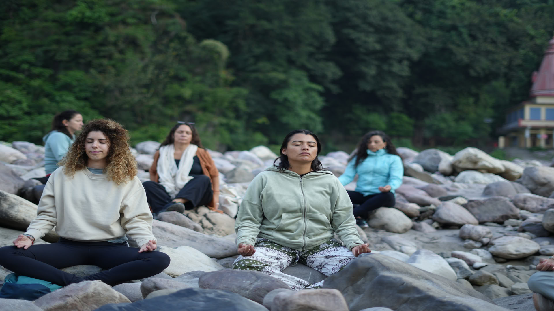 Ayurvedic Detox Program