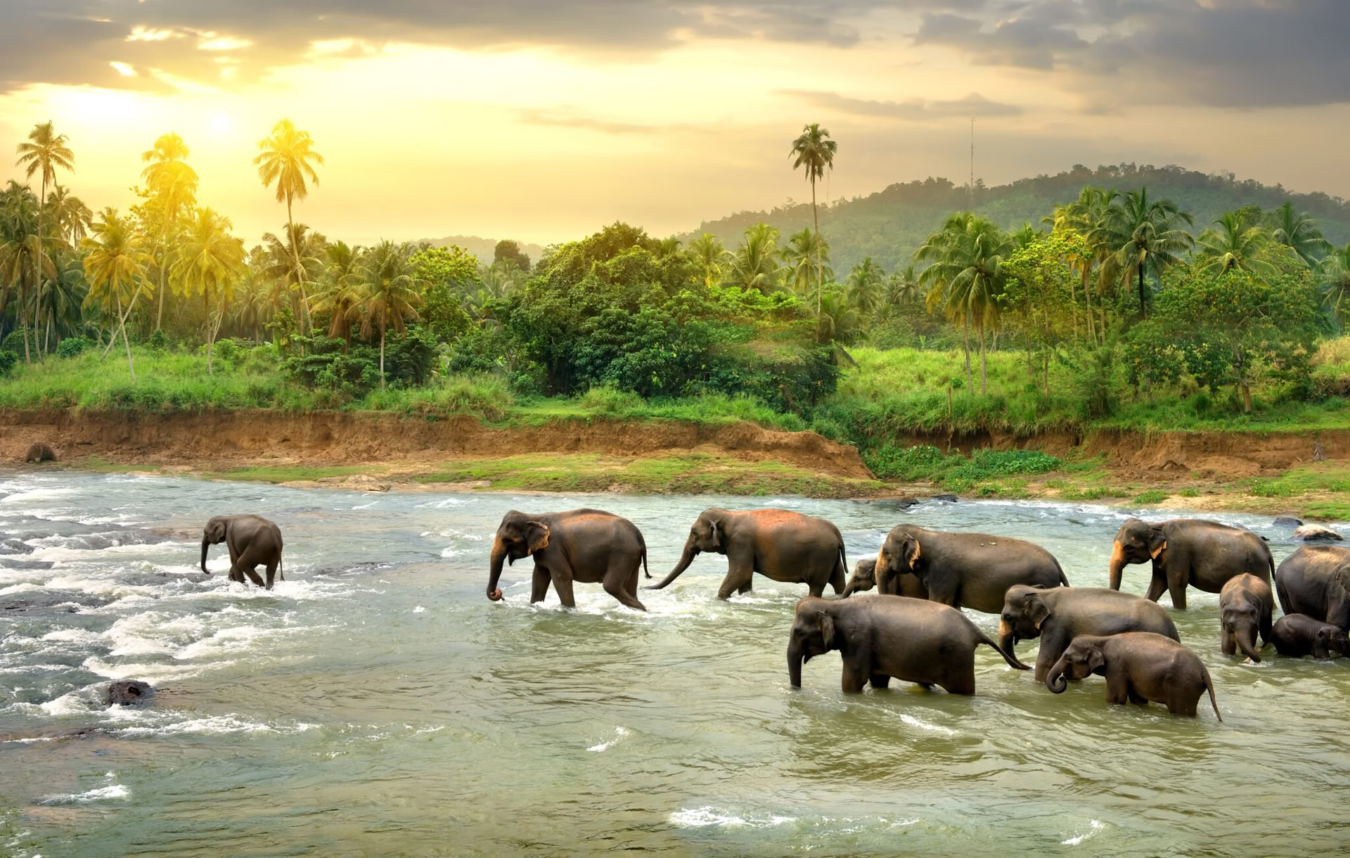 Tranquil Trails: 7-Day Sri Lanka Bliss! Yoga, Meditation, Culture, Nature
