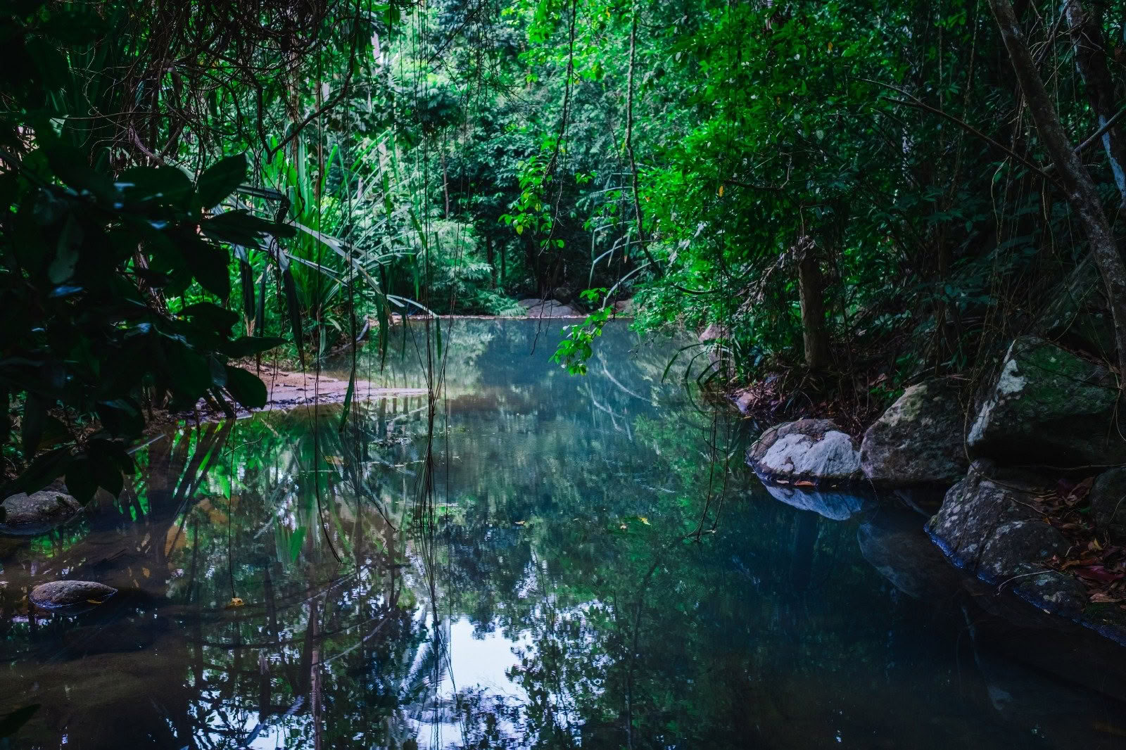 Arcana Yoga Immersion Retreat