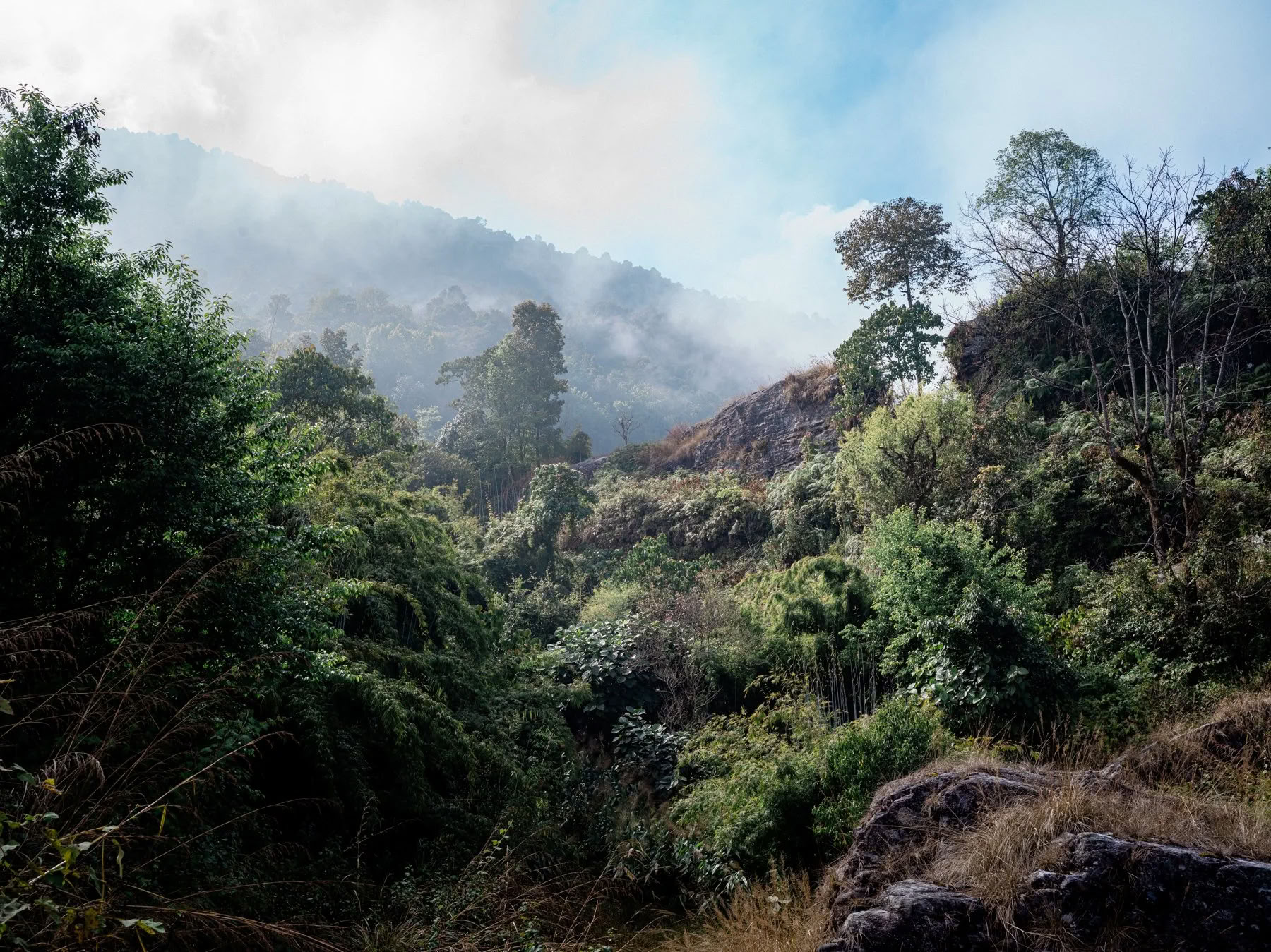 4D/3N Sound Meditation & Nature Retreat