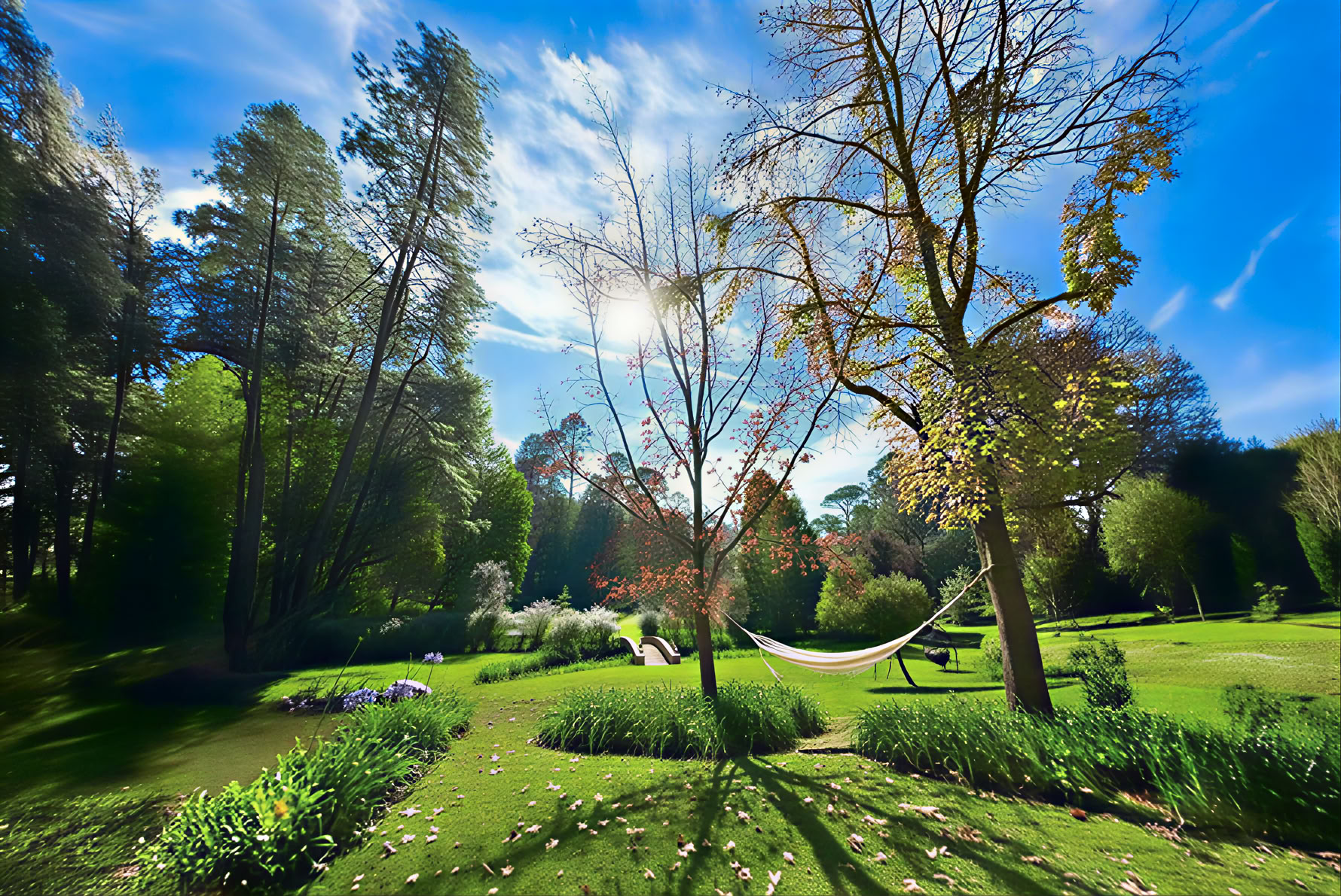Psychedelic Pain Management Retreat