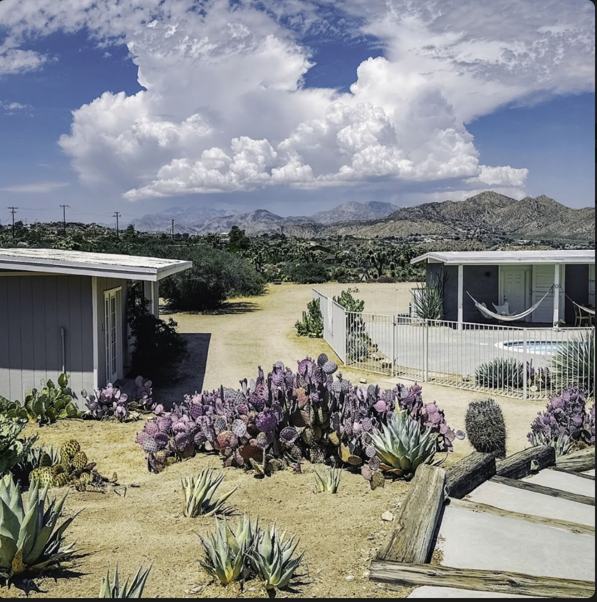 Cactus Moon :: The Return with Liz and Megan