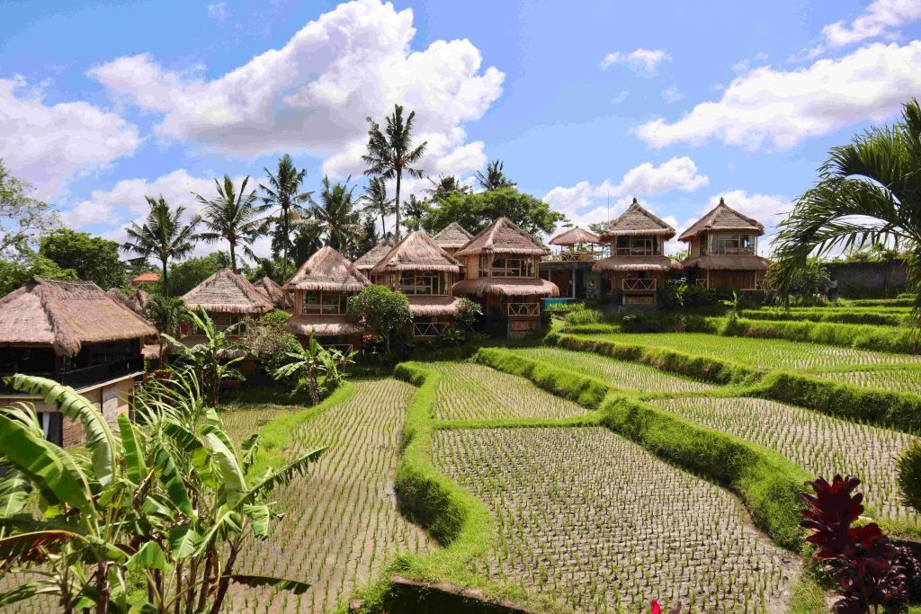 RYT200 Yoga Teacher Training β Aug 30 - Sep 19