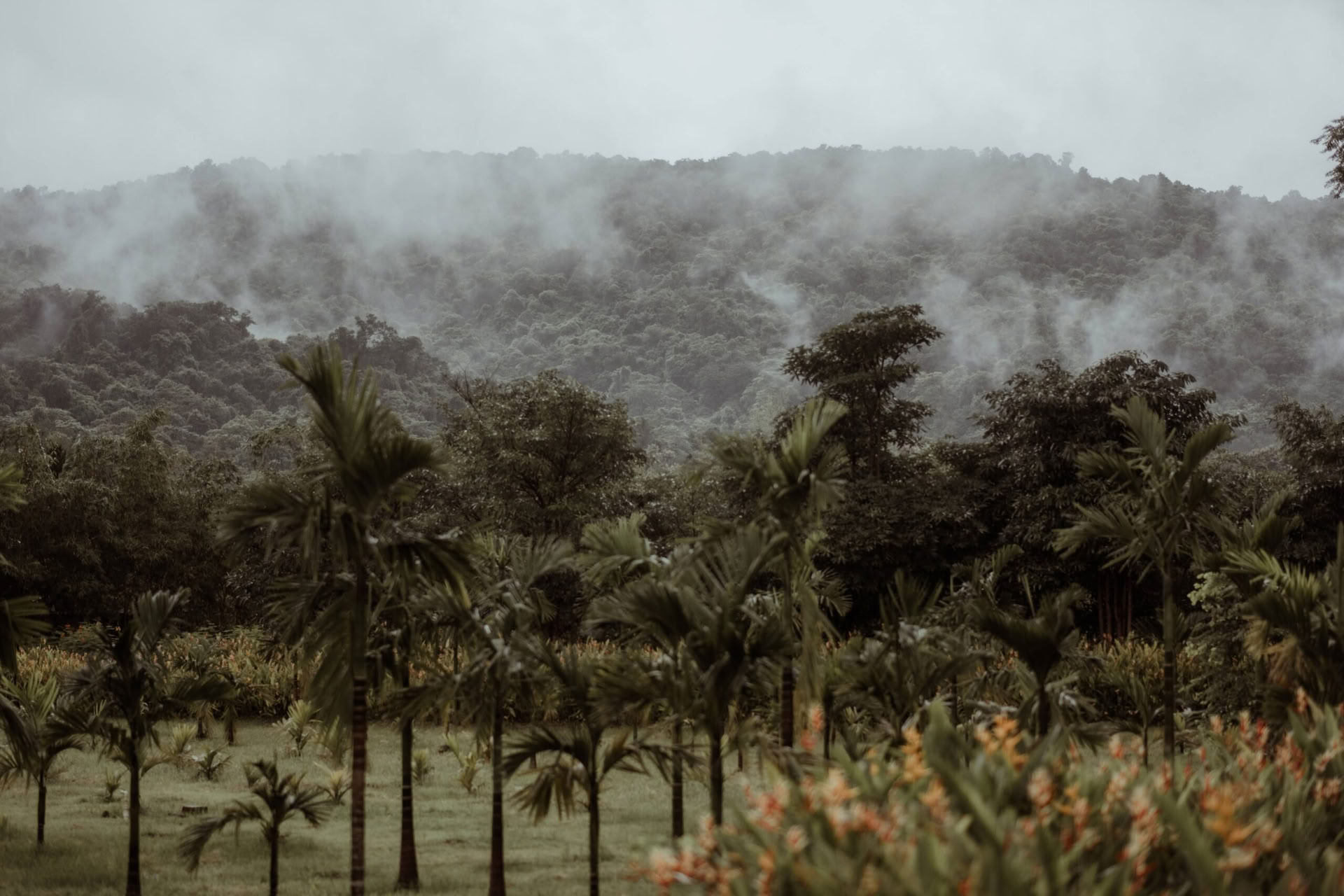 Dimora di Datu Goa – A Return to Source