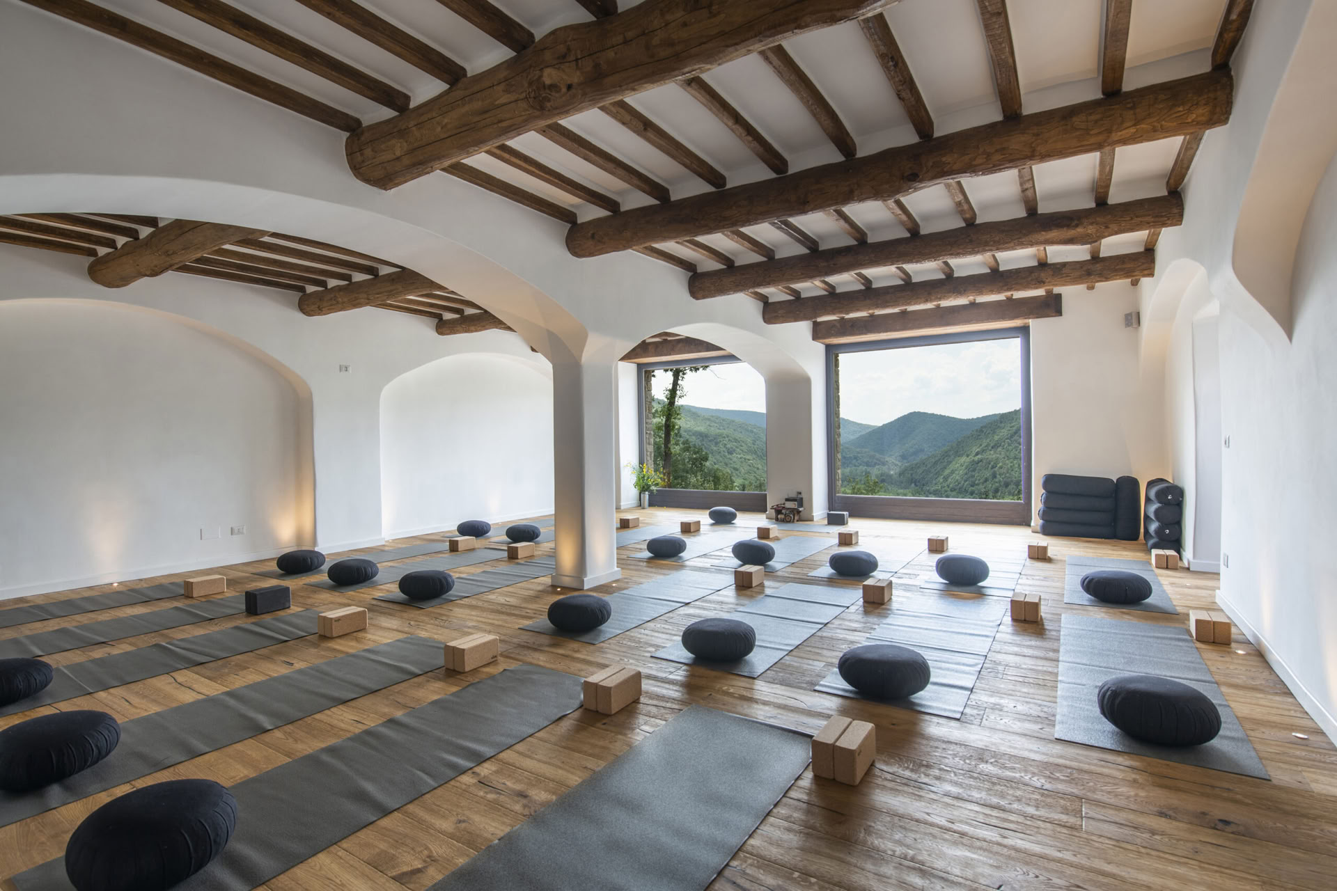 A Withdrawal into the Art of Introspection