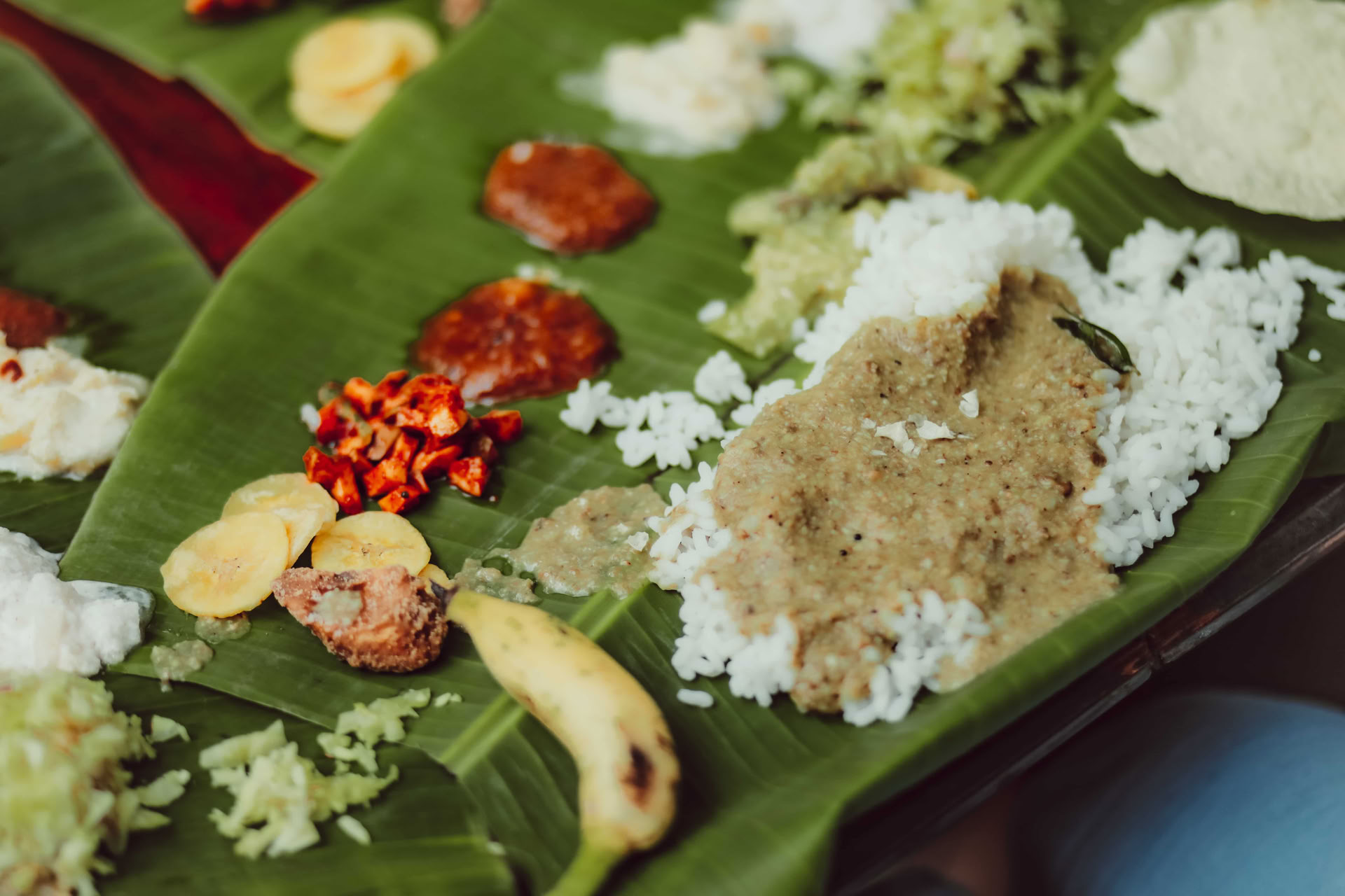 Sound Healing Course in Varkala, Kerala
