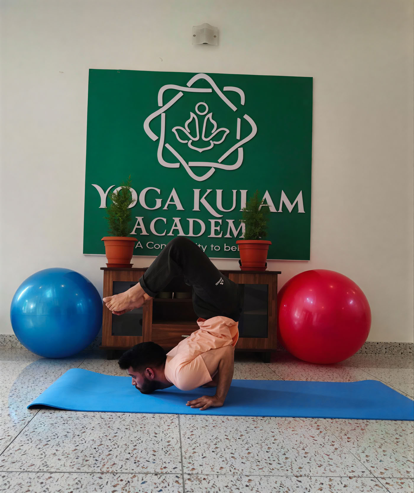 Daily Yoga Classes in Bengaluru