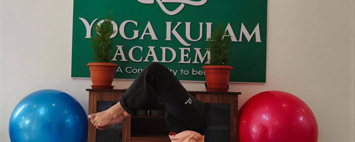 Daily Yoga Classes in Bengaluru