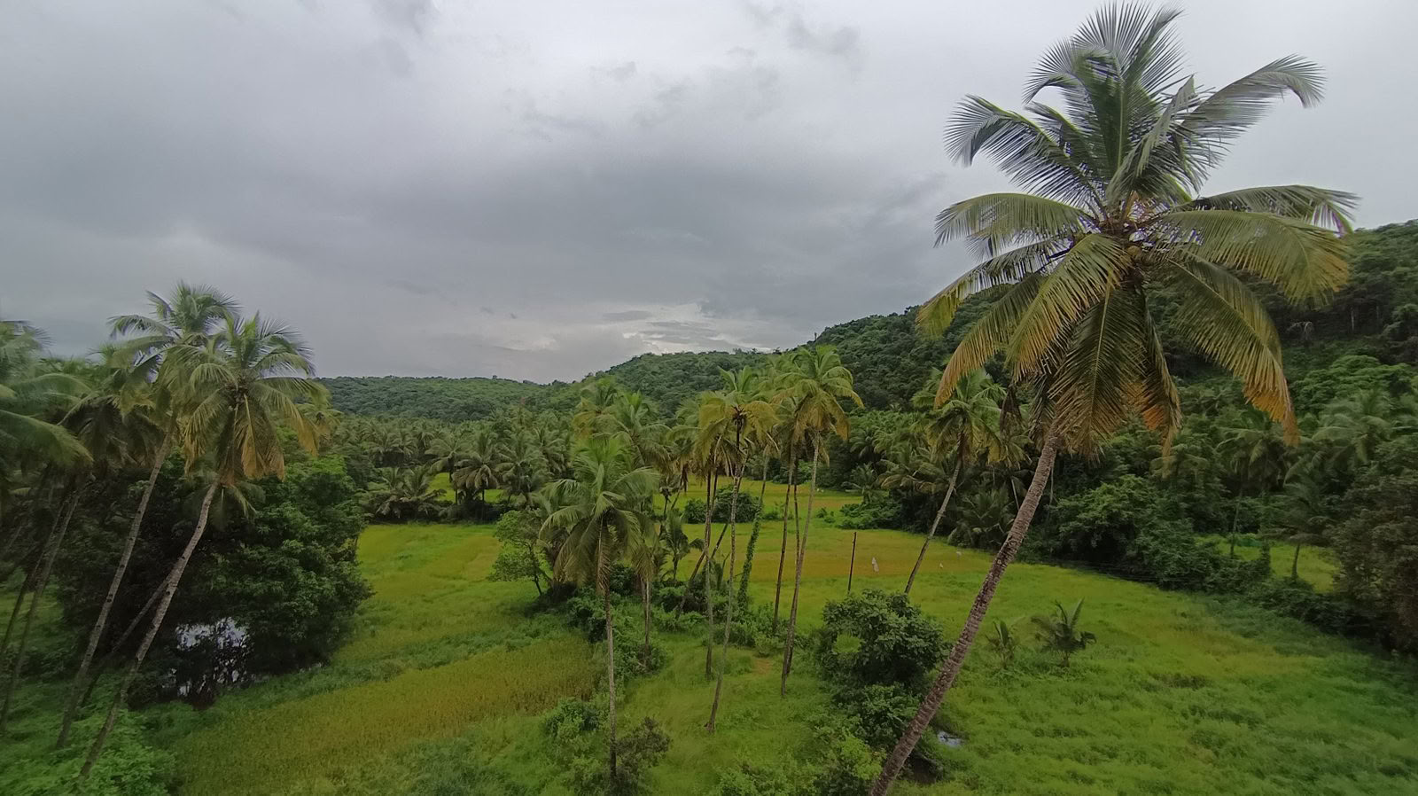 100-Hour Advanced Tantra & Kundalini Yoga Teacher Training Course In Goa, India