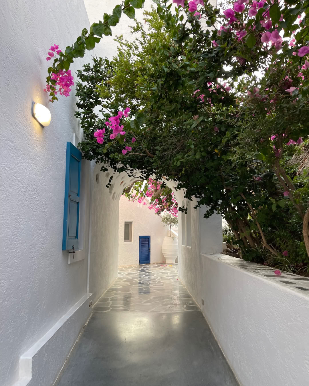 Ahimsa's 3rd Voyage to Amorgos!