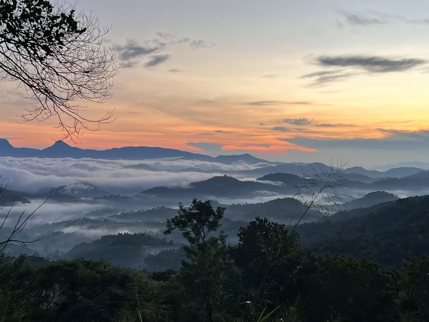 Yoga, Travel & Ayurveda in Sri Lanka: An Adventure for the Soul
