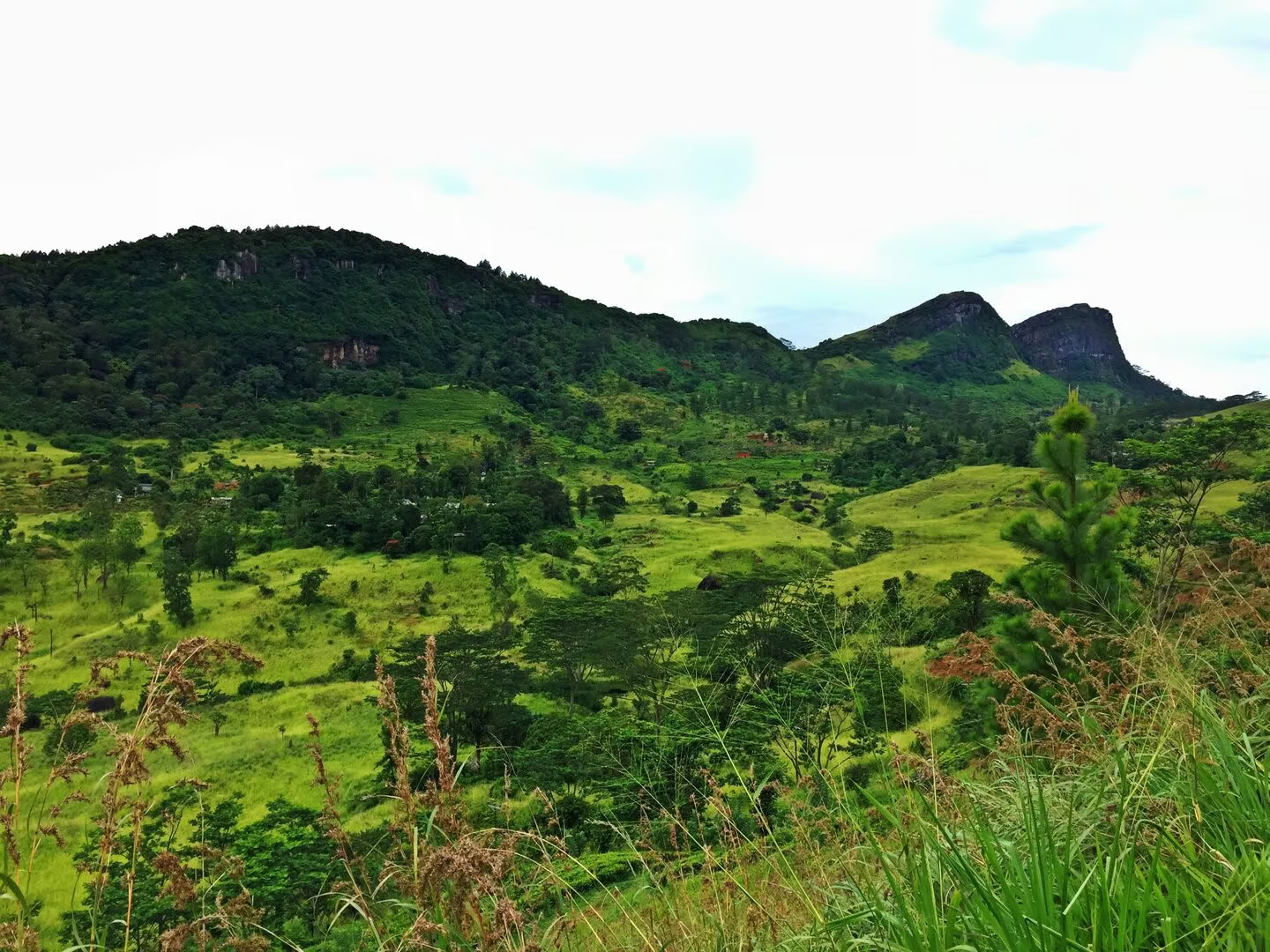 Yoga, Travel & Ayurveda in Sri Lanka: An Adventure for the Soul