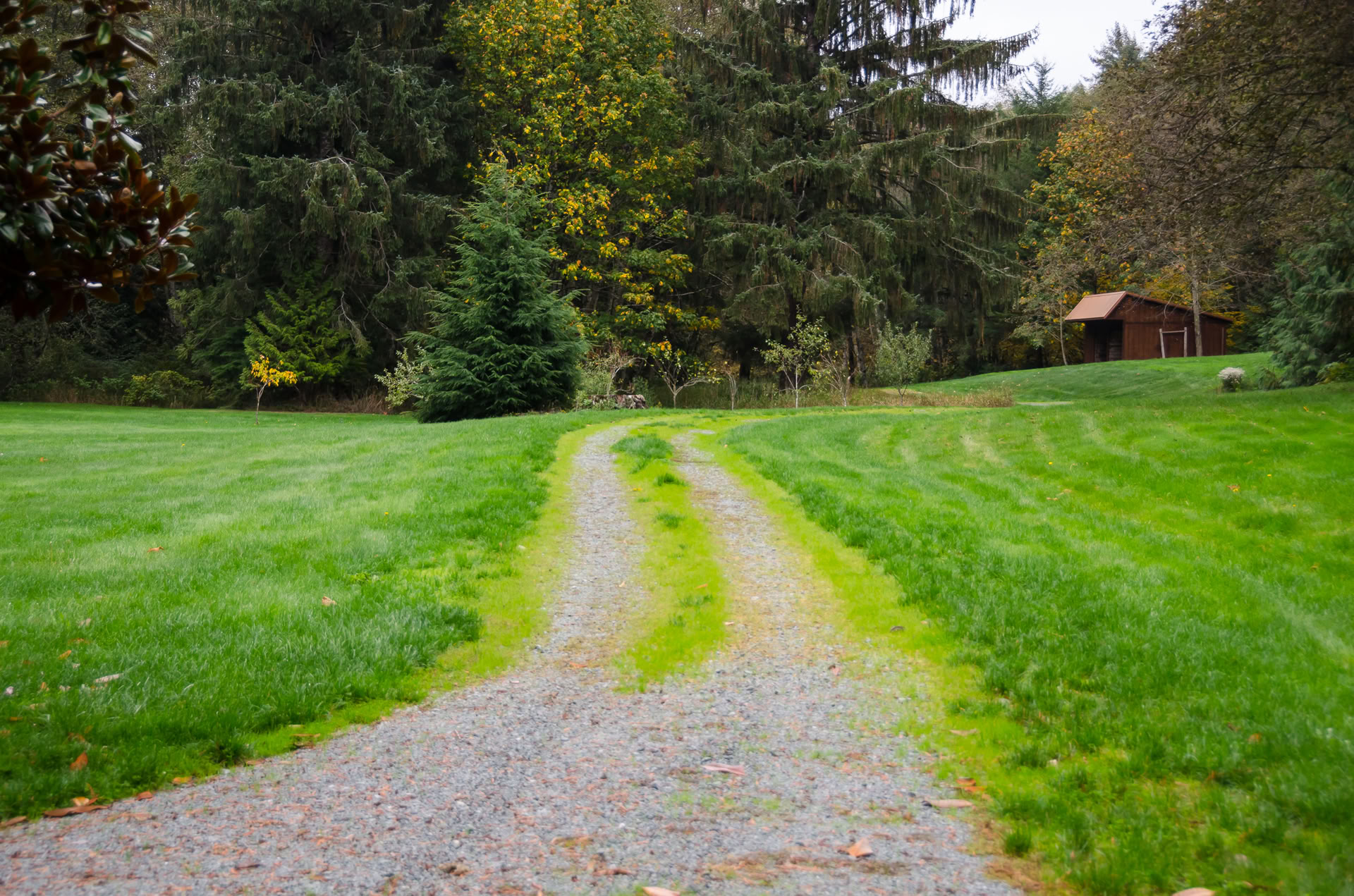 Sun Celebration Yoga & Meditation Retreat