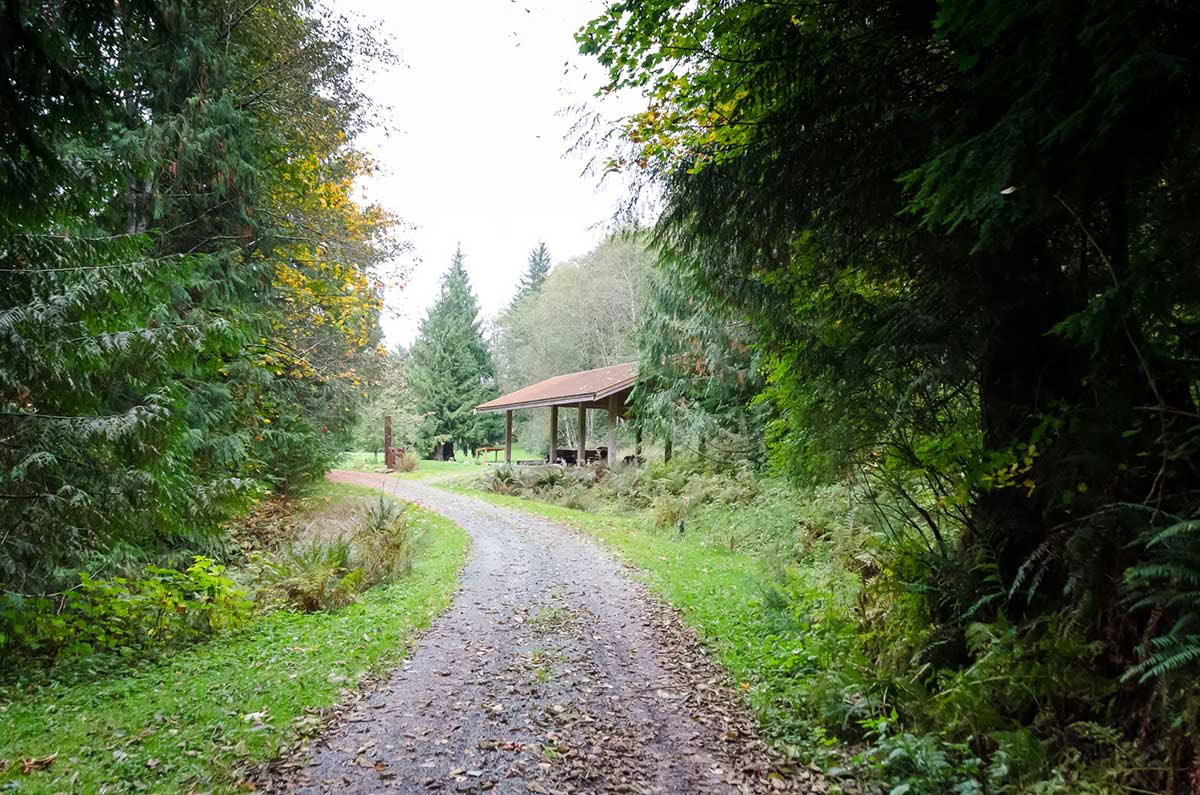 Sun Celebration Yoga & Meditation Retreat