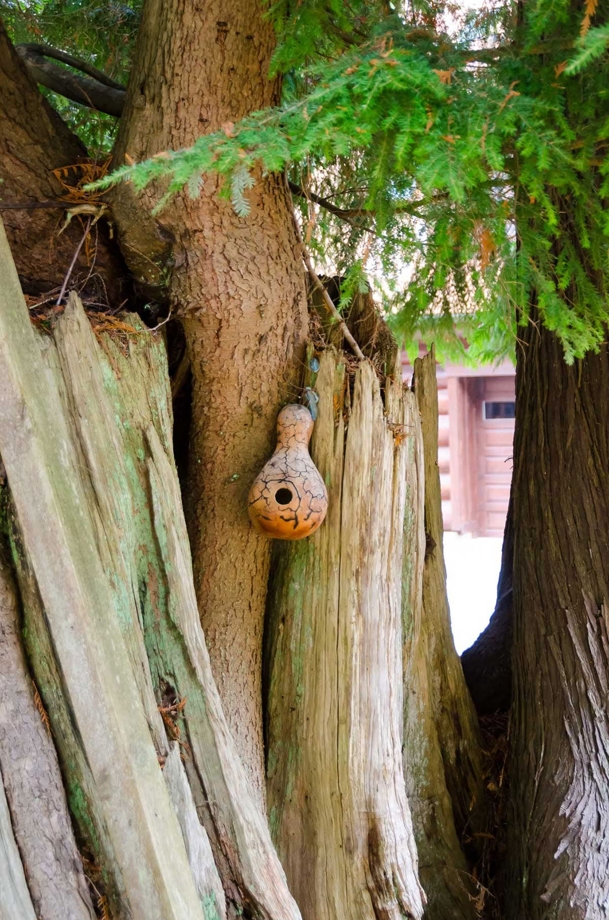 Autumn Equinox Yoga & Meditation Retreat