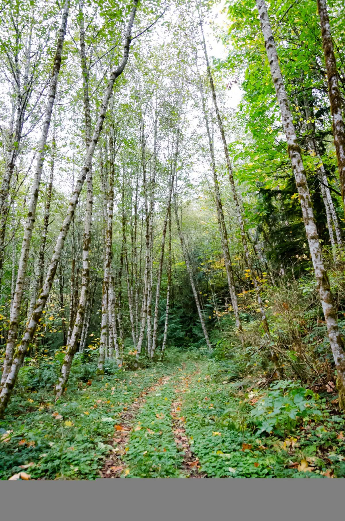 Autumn Equinox Yoga & Meditation Retreat