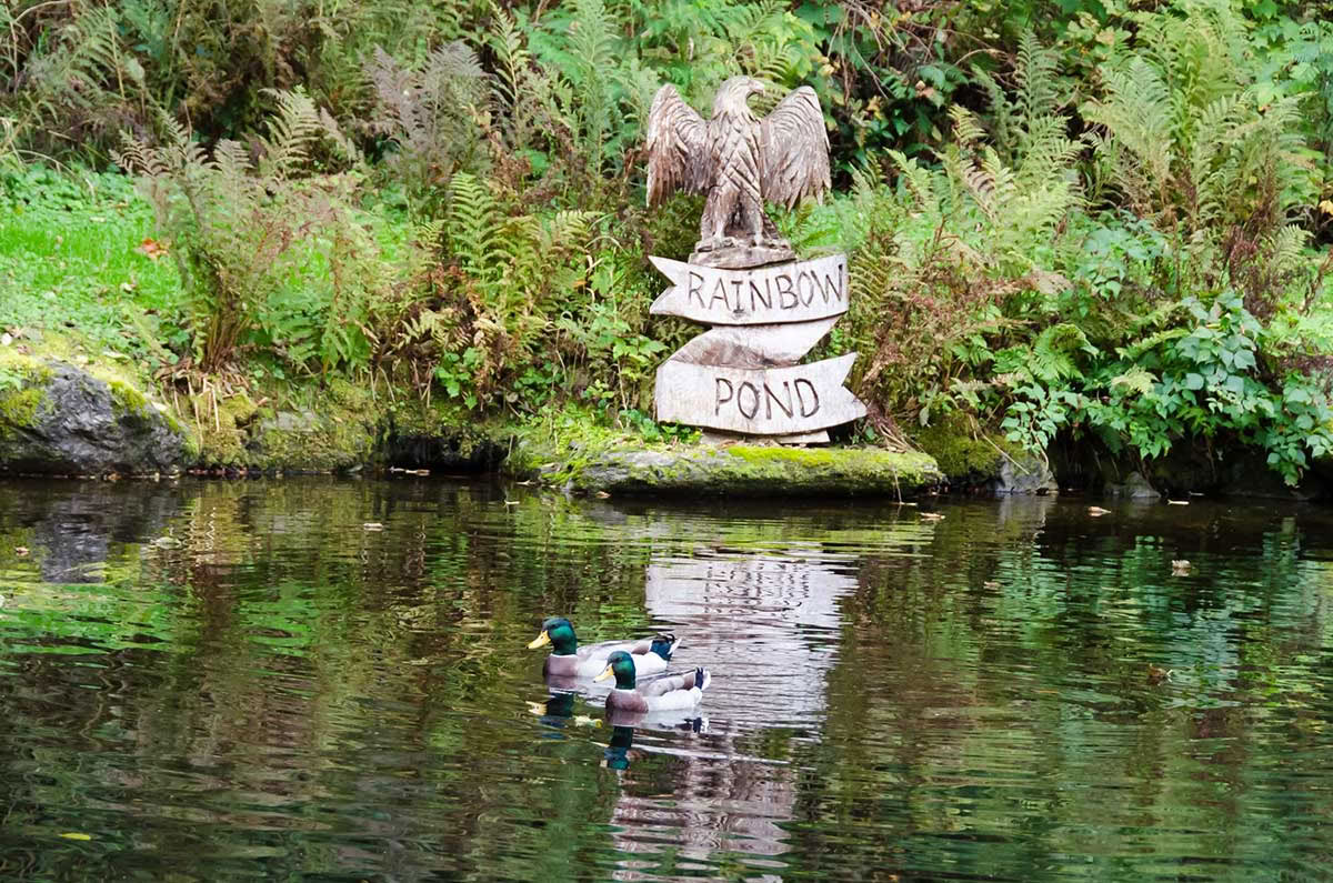 Autumn Equinox Yoga & Meditation Retreat