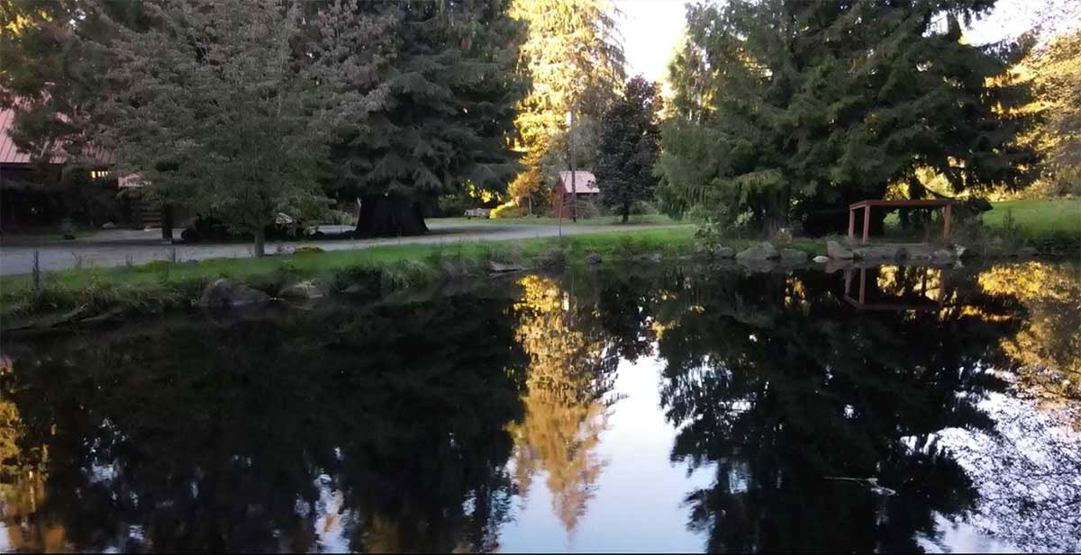 Detox Retreat – Autumn Cleanse
