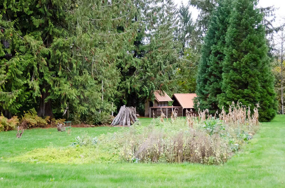Detox Retreat – Autumn Cleanse