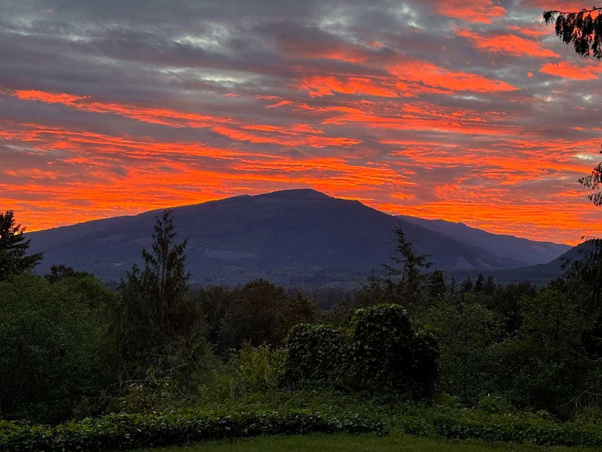 Detox Retreat – Autumn Cleanse