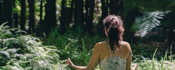 Detox Retreat – Autumn Cleanse