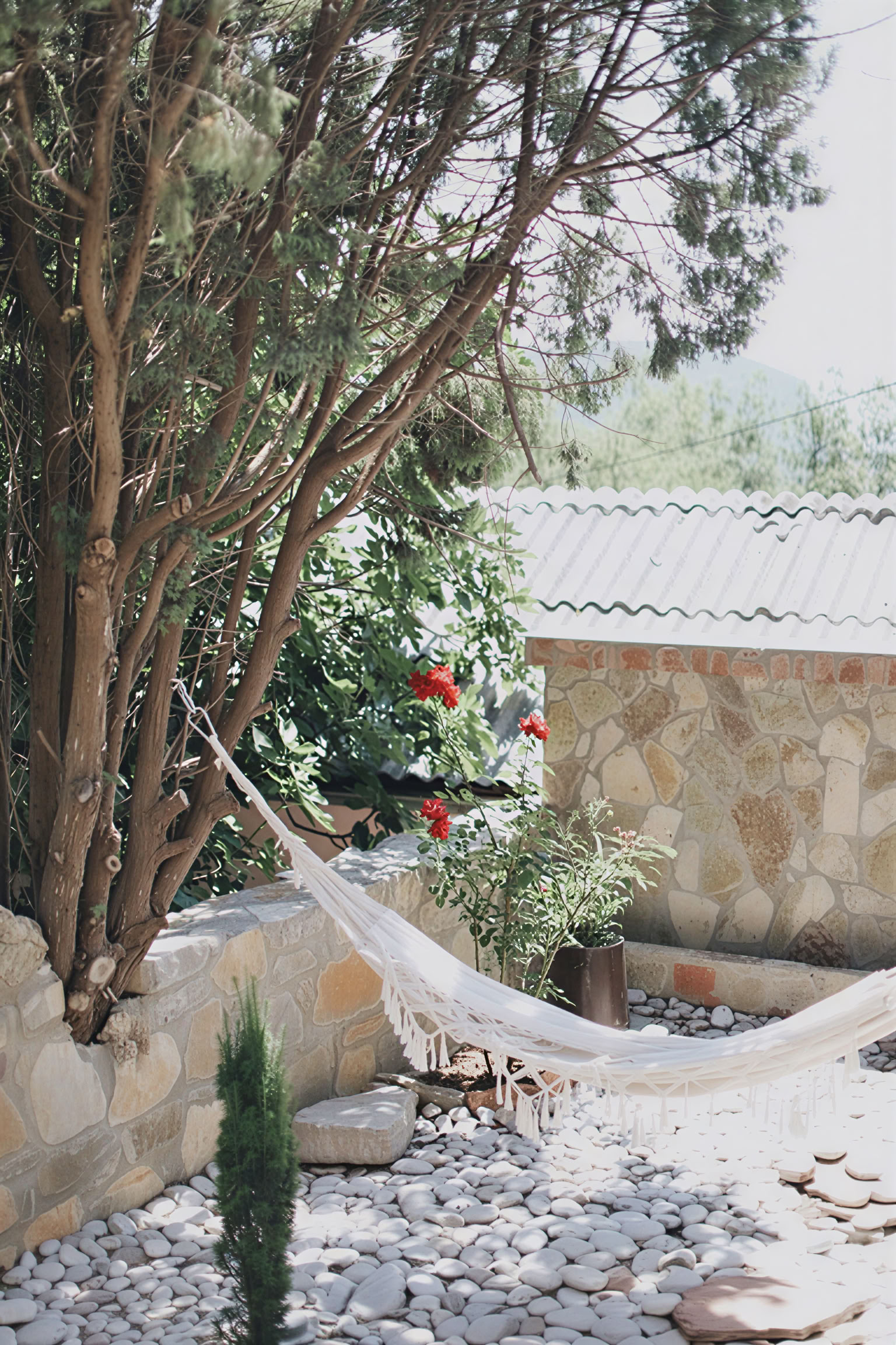 Yoga, Detox and Herbal Cooking Retreat by Dr Lemm