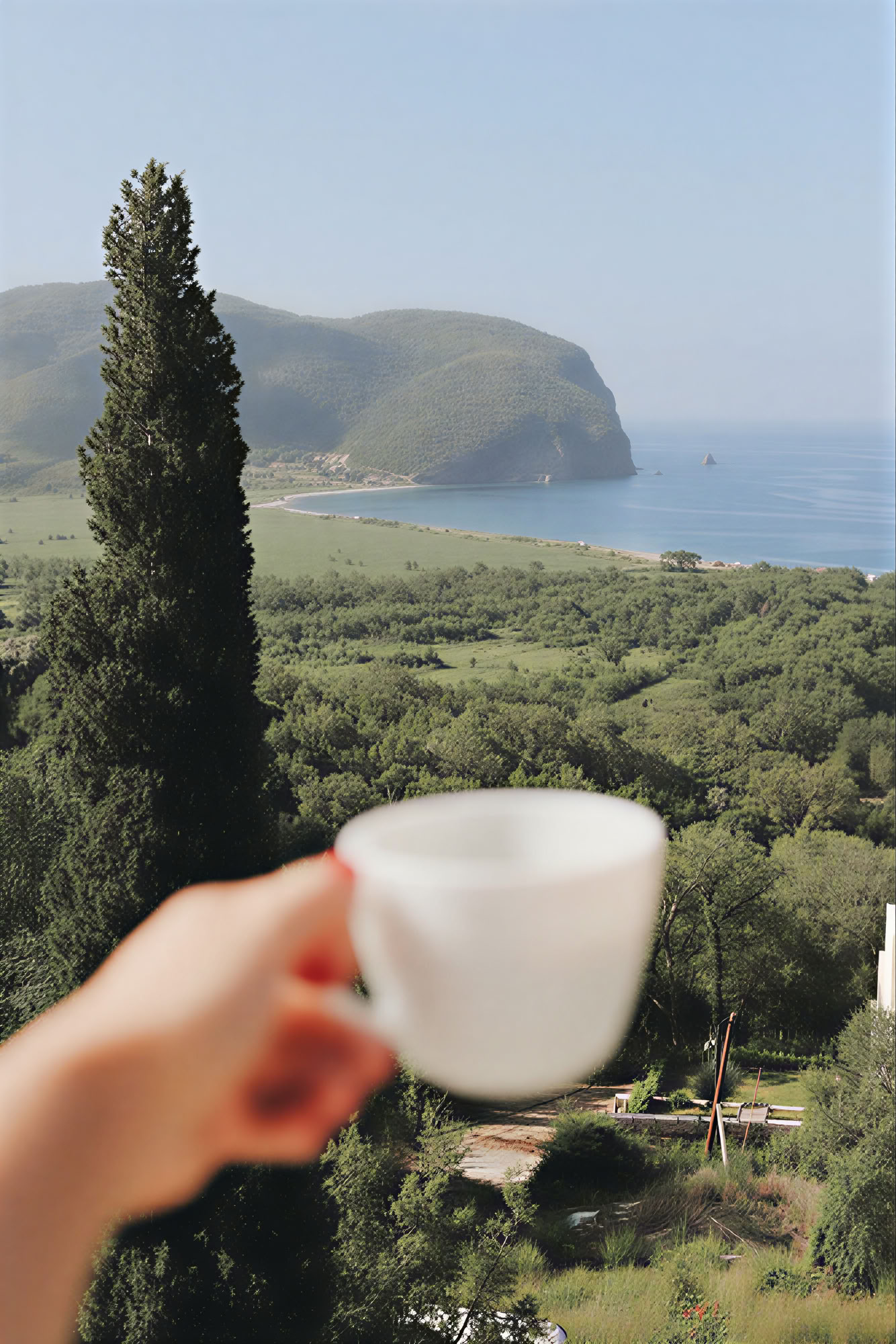 Yoga, Detox and Herbal Cooking Retreat by Dr Lemm