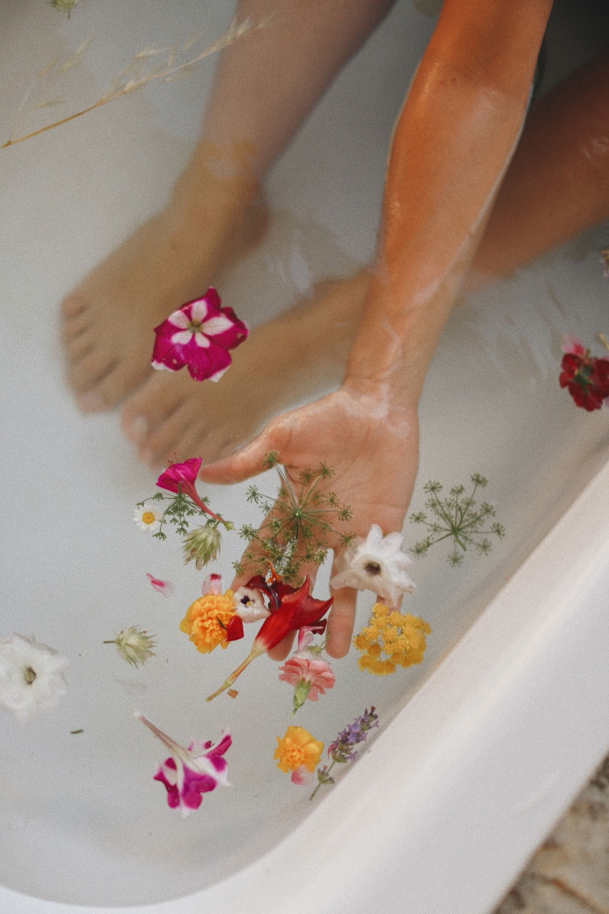Yoga, Detox and Herbal Cooking Retreat by Dr Lemm