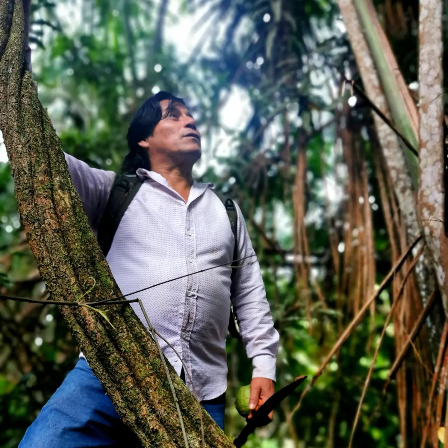 7-Day Ayahuasca Retreat