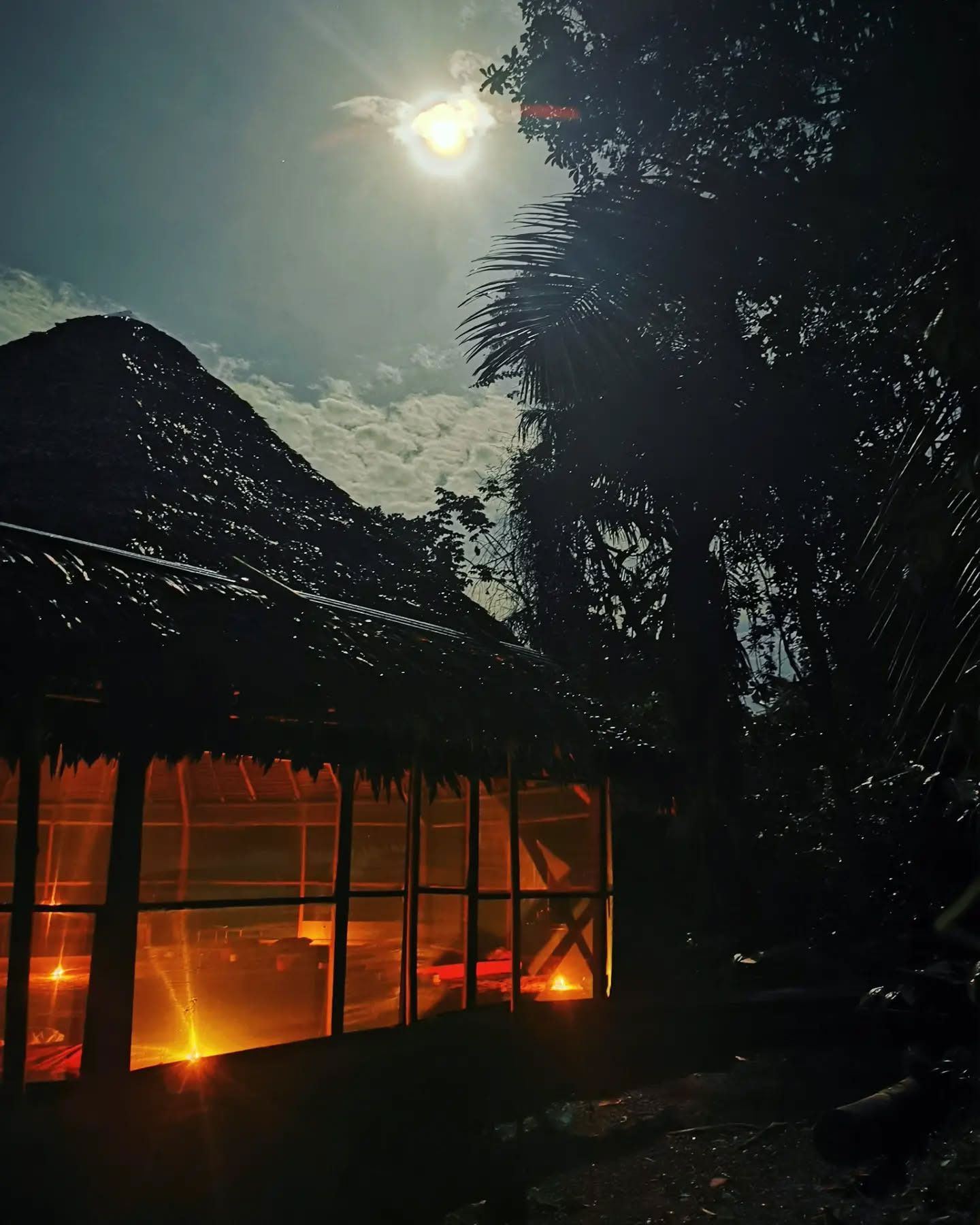 7-Day Ayahuasca Retreat