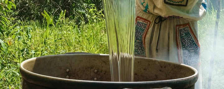 7-Day Ayahuasca Retreat
