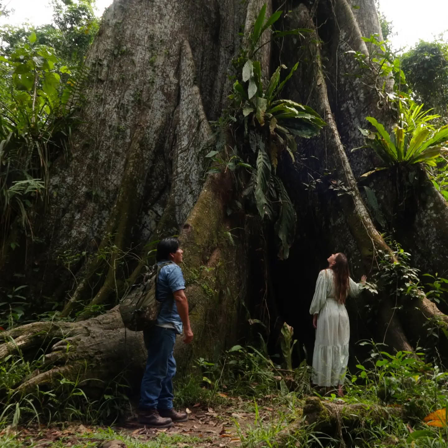 14-Day Ayahuasca Retreat