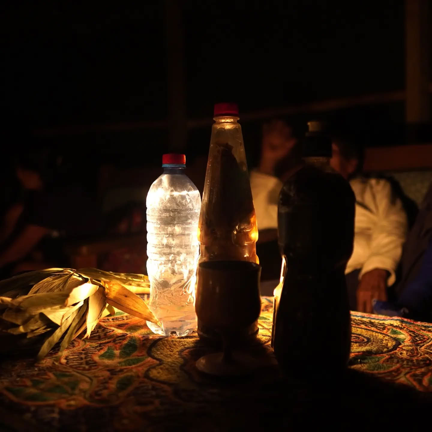 14-Day Ayahuasca Retreat