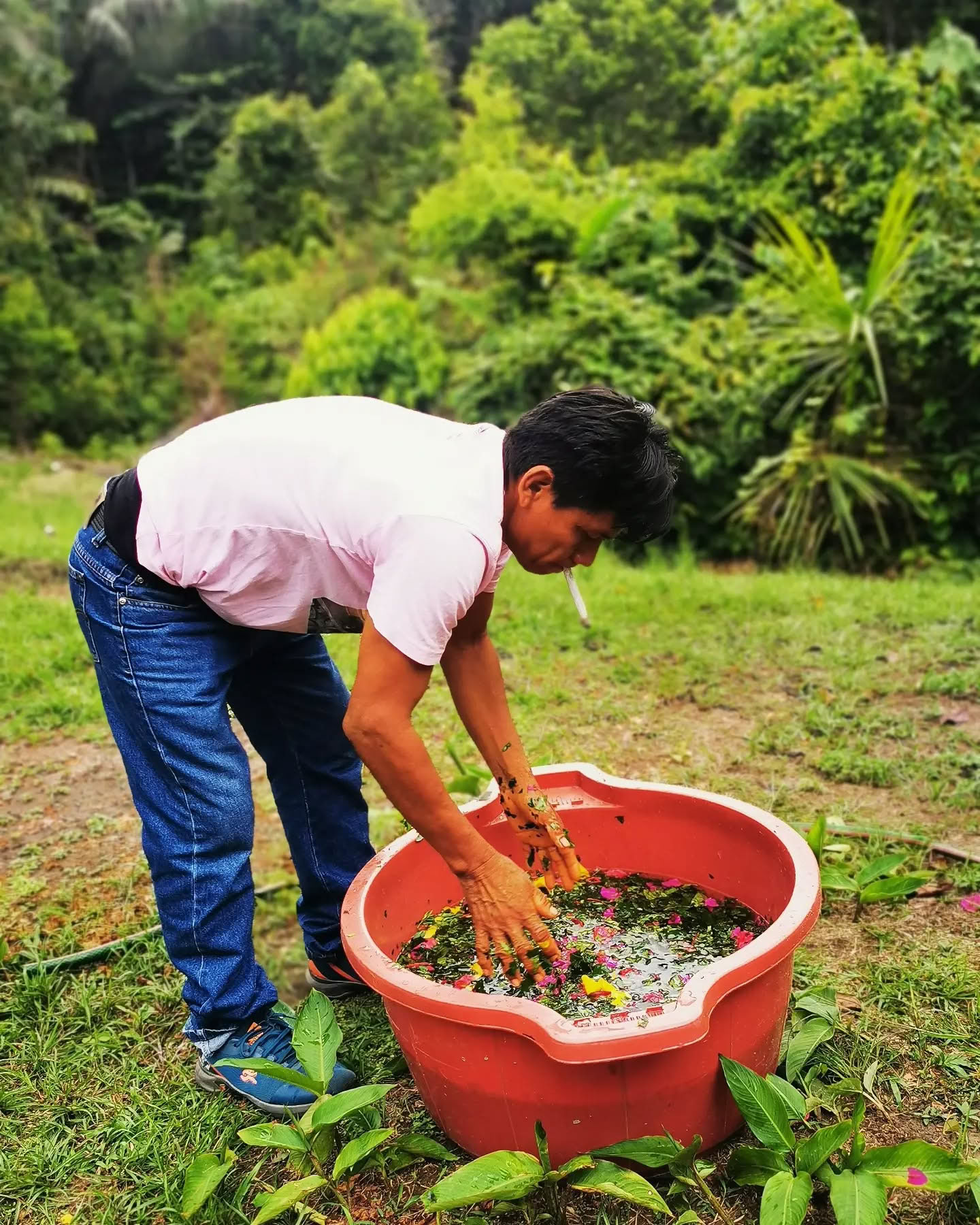 14-Day Ayahuasca Retreat