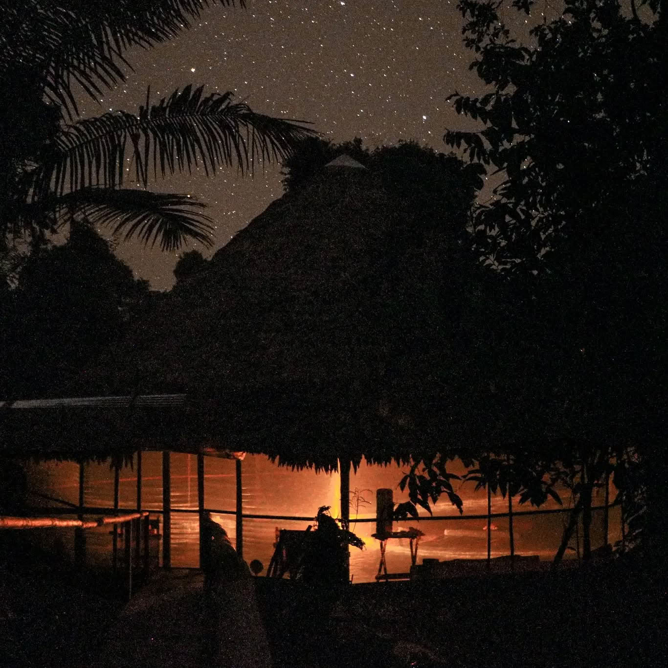 14-Day Ayahuasca Retreat