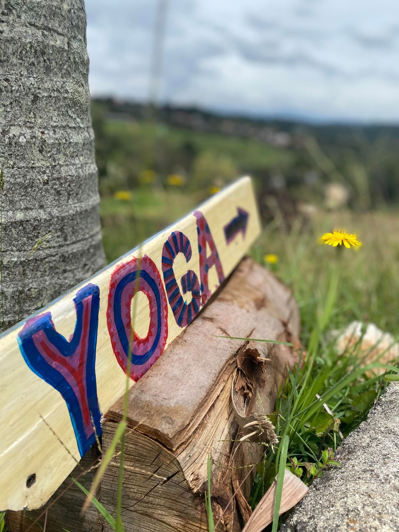 VINYASA