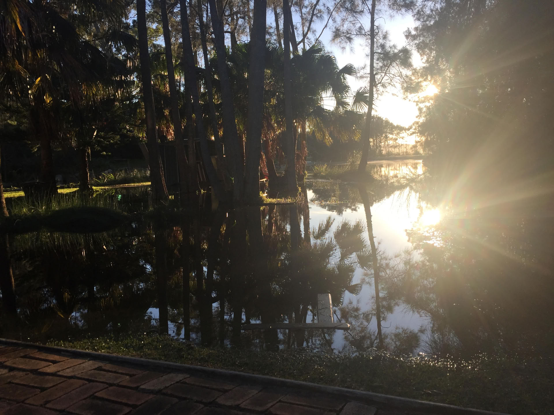 Advanced Yogis' Weekend Retreat